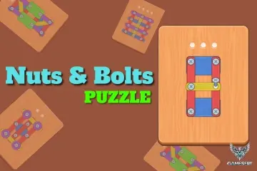 Nuts and Bolts Puzzle